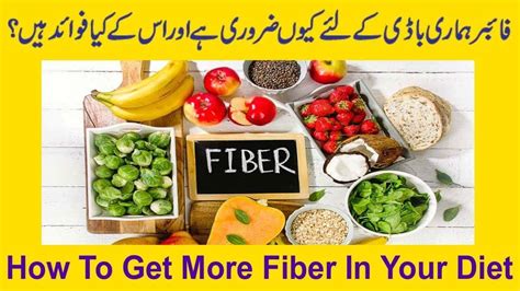 fiber meaning in Urdu .
